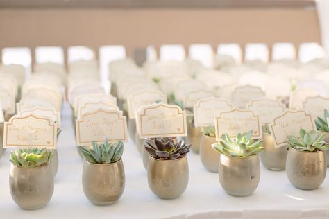 Flower Place Cards, Backyard Wedding Decorations, Table Number Place Cards, Party Seating, Table Seating Chart, Beach Table, Chart Ideas, Reception Seating, Succulent Wedding