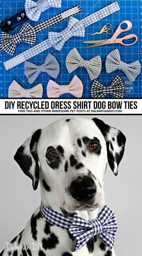 Old dress shirt cuffs recycled into DIY dog bow ties (and button placket collar bands). Doggone dapper indeed! Dog In Bowtie, Dog Bowtie Diy, Diy Bow Tie For Dog, Diy Dog Clothes From Old Shirt, Diy Dog Bows, Diy Dog Bowtie Pattern, Dog Accessories Diy, Diy Dog Accessories, Dog Bows Diy