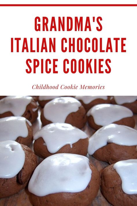 Chocolate Meatball Cookies, Italian Meatball Cookies, 1960s Recipes, Chocolate Spice Cookies, Meatball Cookies, Italian Christmas Cookies, Italian Chocolate, Italian Cookie Recipes, Vintage Chocolate