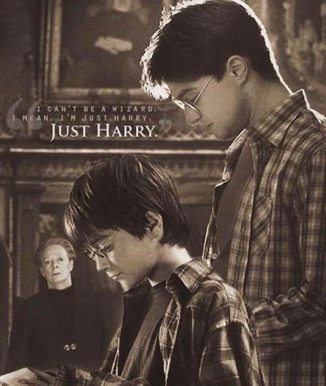 Harry Potter Fanları, Film Harry Potter, Citate Harry Potter, Glume Harry Potter, Harry Potter Poster, Buku Harry Potter, Theme Harry Potter, Harry Potter Images, Images Harry Potter