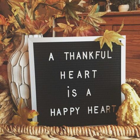 Letter Bored Ideas, Letterboard Thanksgiving Quotes, Fall Letterboard Quotes Funny November, Thanksgiving Memo Board, Thankful Letterboard Quotes, November Felt Board Quotes, Thanksgiving Quote Board, Thanksgiving Word Board Quotes, Thanksgiving Letter Board Ideas