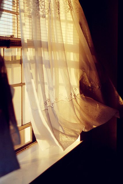 "Keep knocking, and the joy inside will eventually open a window and look out to see who's there." ~rumi An Open Window, Gold Aesthetic, Sun Is Shining, White Curtains, Window View, Through The Window, Open Window, Golden Lights, Morning Light