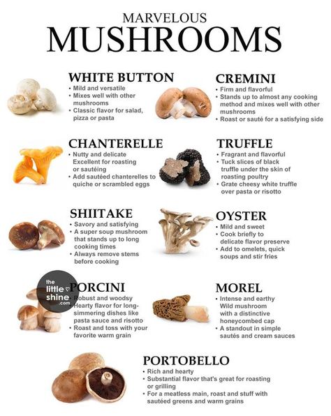 The Little Shine Different Types Of Mushrooms, Culinary Basics, Types Of Mushrooms, Culinary Lessons, Mushroom Varieties, Food Infographic, Edible Mushrooms, Holistic Nutrition, Cooking Ingredients