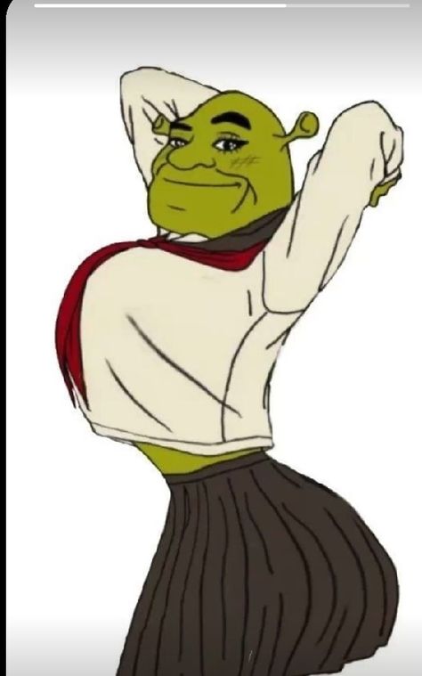 Shrek Funny, Crazy Funny Pictures, Goofy Pictures, Funny Drawings, 웃긴 사진, Very Funny Pictures, Funny Profile Pictures, Shrek, Quick Jokes