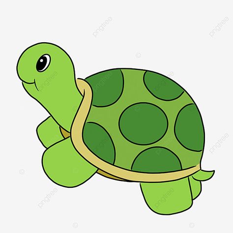 Hewan Kura Kura, Tortoise Cartoon, Pelajaran Tk, Cartoon Tortoise, Turtle Image, Lily Drawing, Lilies Drawing, Mind Map Design, Turtle Drawing