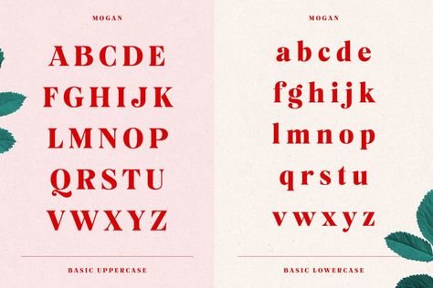 Mogan Font by Tobias Saul Serif Lettering, Recommended Fonts, Font Numbers, Fonts Creative, Font Guide, Jewellery Business, Upper And Lowercase Letters, Display Fonts, Font Face