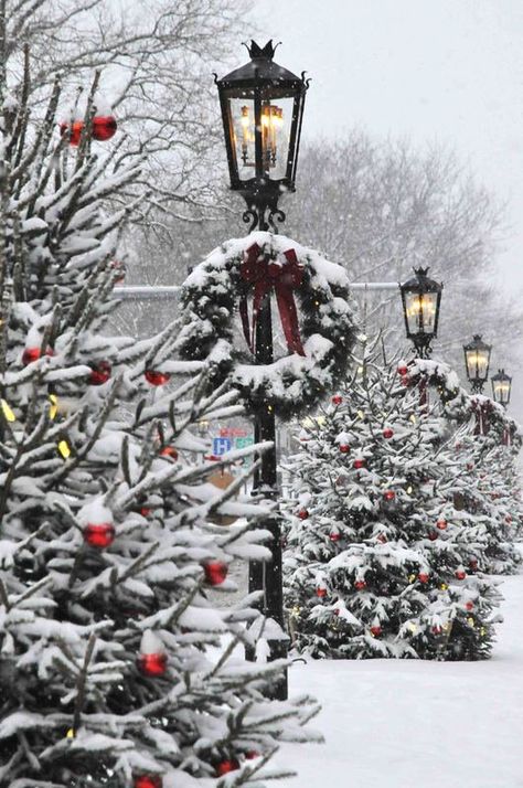 Wellsboro Pa, Christmas Main, Christmas Scenery, Christmas Collage, Christmas Phone Wallpaper, Wallpaper Collage, Christmas Town, Christmas Feeling, Christmas Wonderland