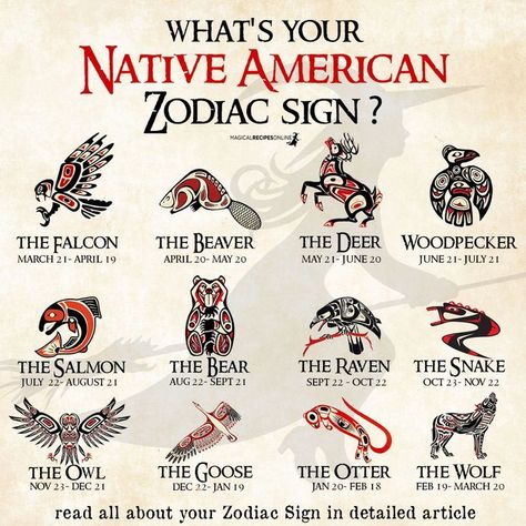 Native American Zodiac, Native American Spirituality, American Quotes, Numerology Life Path, Native American Symbols, Native American Quotes, American Symbols, Astrology Zodiac, The Wolf