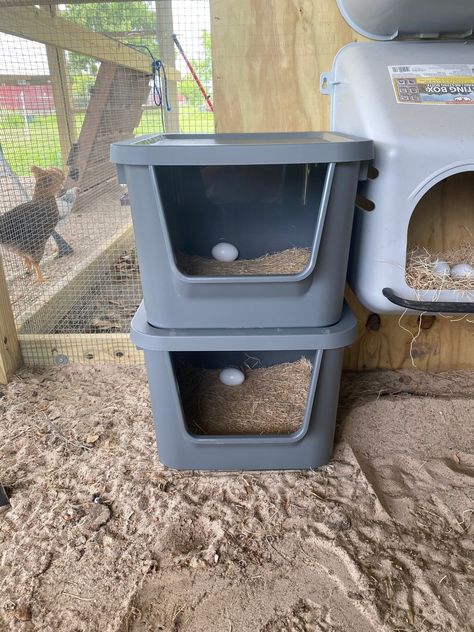 Plastic Chicken Nesting Boxes, Rooster House Diy, Roost Boxes Chicken, Plastic Nesting Boxes For Chickens, Easy Nesting Box Ideas, Nesting Boxes Under Roost, Ikea Chicken Nesting Boxes, Diy Roosting Boxes For Chickens, Nesting Box For Ducks