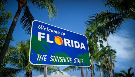 Florida Camping, Living Trust, Florida State Parks, Florida City, Moving To Florida, Florida Living, Visit Florida, Life Insurance Policy, Win A Trip