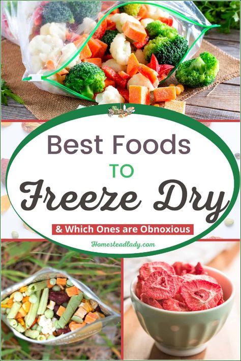 Best Foods to Freeze Dry • Homestead Lady Best Things To Freeze Dry, Best Foods To Freeze Dry, Freeze Dryer Snacks, Things To Freeze Dry, Freeze Dried Christmas Gifts, Freeze Dried Recipes, Freez Dryer, Dried Meals In A Jar, Foods To Freeze