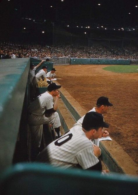 White Sox Aesthetic, 90s Baseball Aesthetic, Baseball Aesthetic Boy, Vintage Baseball Aesthetic, Baseball Boy Aesthetic, Baseball Aesthetic Wallpaper, Baseball Boys Aesthetic, Yankees Aesthetic, Rhodes Aesthetic