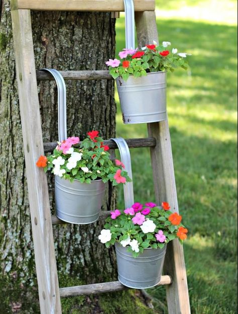 14 Marvelous Ideas For Using Old Ladder In Your Garden Garden Ladder Ideas, Ladder Plant Stand, Old Wooden Ladders, Garden Ladder, Diy Planters Outdoor, Galvanized Decor, Old Ladder, A Ladder, Design Exterior