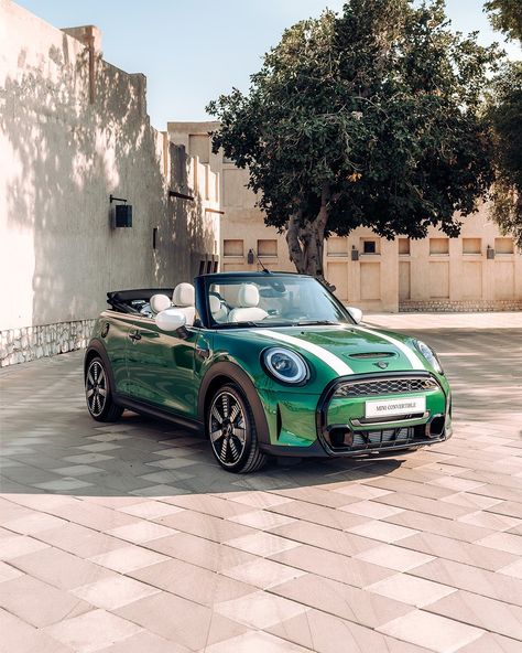 When the sun is out, we put the top down in the MINI Cooper S Convertible😎 #MINI #SummerGetaway #MINICooperS Minicooper Mini Coopers, Mini Cooper Green, Green Mini Cooper, Convertible Mini Cooper, Cars Convertible, Mini Cooper S Convertible, Convertible Cars, Mini Auto, Mini Cooper Convertible