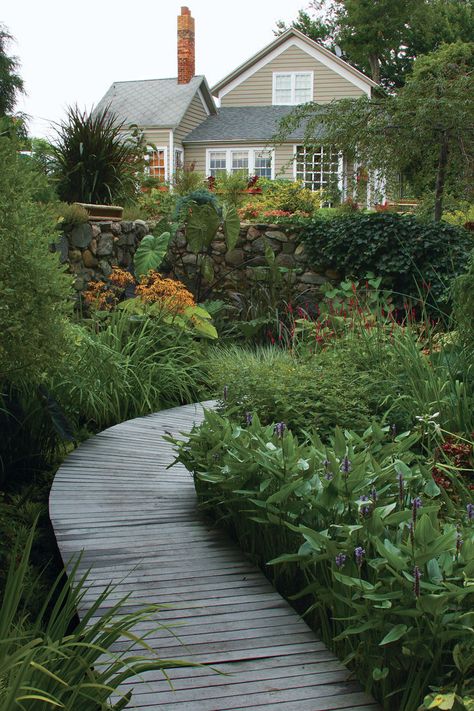 Wet Landscape Ideas, Landscaping Wet Areas Backyards, Wetland Landscape Design, Wetland Garden, Backyard Steps, California Native Garden, Lovely Landscapes, Bog Garden, Outdoor Walkway