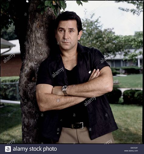 Anthony Lapaglia, Hottest Guys, In Hollywood, Globe, High Resolution, Stock Images, Hollywood, Resolution, Stock Photos