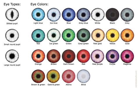 Types Of Eye Colors, Different Types Of Eyes, Rare Eye Colors, Eye Colours, Eye Color Chart, Eyeshadow Eyebrows, Rare Eyes, Blue Eye Color, Types Of Eyes