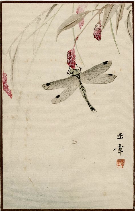 Japanese Dragonfly Art, Japanese Postcard Design, Japanese Insects, Dragonfly Aesthetic, Tigre Y Dragon, Japanese Postcard, Mfa Boston, Dragonfly Illustration, Dragonfly Artwork