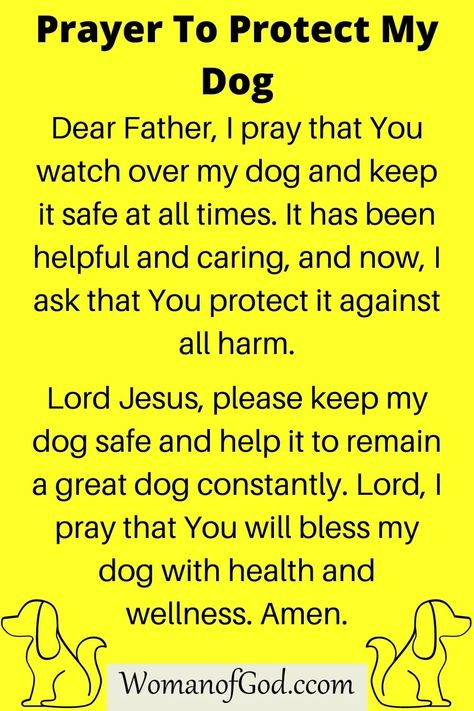 Prayer To Protect My Dog Prayers For My Dog, Prayers For Pets Dogs, Prayer For My Dogs Health, Prayers For Dogs, Dog Prayer, Prayer For Sick Dog, Midnight Prayer, Prayers Of Gratitude, Sick Dog