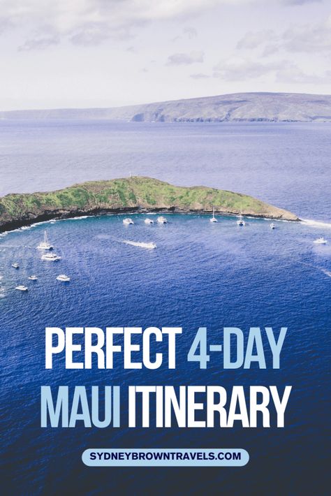 4 Days in Maui Itinerary: How to Spend 4 Days in Maui [2024] Hawaii Vacation Outfits, Molokini Crater, Hawaii Vacation Tips, Hawaii Guide, Whale Watching Cruise, Things To Do In Maui, Maui Itinerary, Trip To Maui, Haleakala National Park