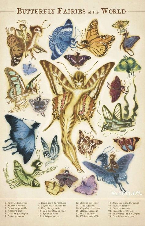 Poster Butterfly, Collage Creator, Fairy Tattoo, Butterfly Fairy, Vintage Fairies, Scientific Illustration, Fairy Art, Pretty Art, Fantasy Creatures