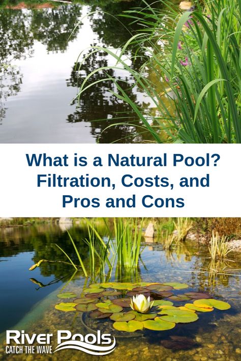 Natural Pool Diy How To Build, Naturally Filtered Swimming Pool, Natural Man Made Pool, Building A Natural Swimming Pool, Naturally Filtered Pool, How To Make A Natural Swimming Pool, Natural Salt Water Pool, Chemical Free Swimming Pool, Natural Design Pool