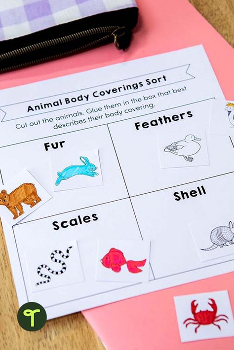 Animal Coverings Kindergarten, Animal Classification Preschool, Animal Characteristics Kindergarten, Animals Classification, Animal Coverings, Animal Characteristics, Coloring Animals, Prek Activities, Reception Class