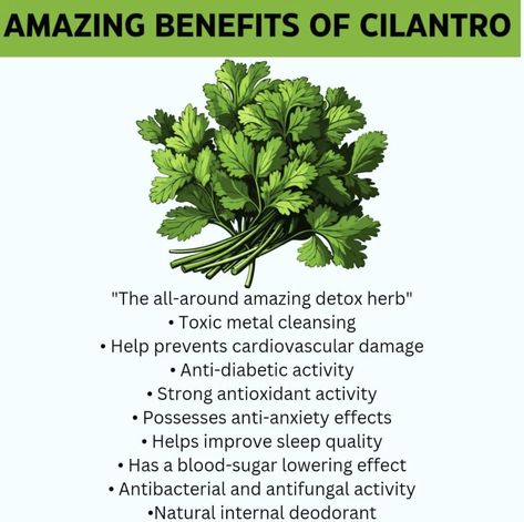 Fred’s Farm | Herbs (@FredsFarm247) on X Benefits Of Cilantro, Detox Herbs, Herbal Teas, Improve Sleep Quality, Healing Powers, Herbal Tea, Herbal Remedies, Cilantro, Home Remedies