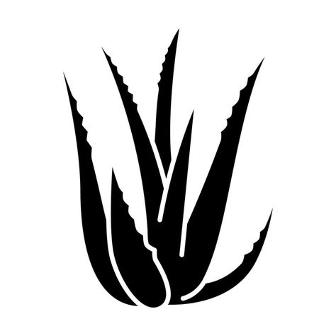 Aloe vera black glyph icon. Succulent growing sprouts. Cactus leaves and thorns. Medicinal herb for skincare. Decorative plant. Silhouette symbol on white space. Vector isolated illustration Aloe Illustration, Aloe Vera Illustration, Aloe Vera Tattoo, Cactus Symbol, Plants Silhouette, Tyre Ideas, Cactus Icon, Aloa Vera, Succulent Growing