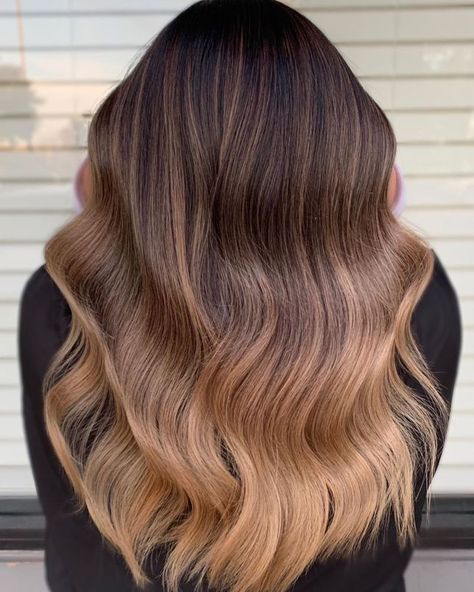 Brown to Caramel Ombre Effect Shoulder Length Ombre Hair, Light Caramel Hair, Caramel Ombre Hair, Light Brown Ombre, Dark Ombre Hair, Caramel Ombre, Brown And Blonde, Brown To Blonde Ombre, Pink Ombre Hair