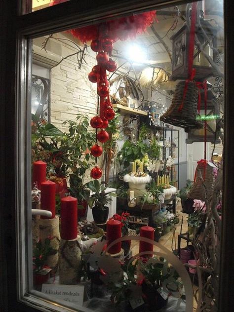 Flower Shop Christmas Shop Window, Flower Shop Decor, Winter Window, Flower Business, Flower Shops, Florist Shop, Shop Decor, Christmas Shop, Window Displays