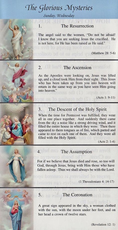 Praying The Rosary Catholic, Rosary Mysteries, Rosary Prayers Catholic, Catholic Prayers Daily, Catholic Beliefs, Novena Prayers, Rosary Prayer, Christian Quotes Prayer, Holy Rosary