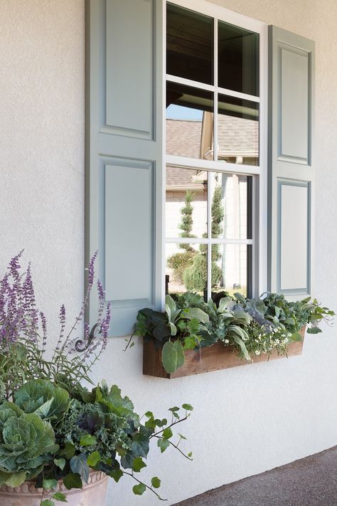 Sage Green Shutters Magnolia