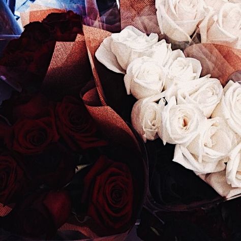 White Roses Aesthetic, Roses Aesthetic, Red And White Roses, Hello Pretty, No Rain, Pony Hair, Flowers Nature, Beautiful Blooms, Rose Bouquet