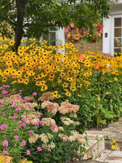 Summer Blooming Flowers, Design Garden Ideas, Easy Perennials, Perennial Gardens, Late Summer Flowers, English Gardens, Potager Garden, Zone 5, Party Garden