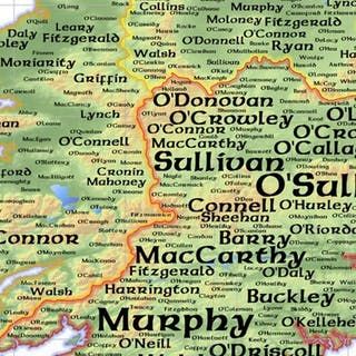 Tracing Your Irish Roots: Great Irish Family Names and their Coats of Arms Irish Surnames Family Names Ireland, Irish Last Names, Brian Boru, Irish Wedding Traditions, Irish Surnames, Irish Genealogy, Irish Coat Of Arms, Irish Ancestry, Ancestry Family Tree