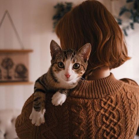 jerianie // on hiatus (@jerianie) • Instagram photos and videos Cat Photography Poses, Photoshoot With Cats, Cat Photoshoot Ideas, Cat Family Portrait, Cat Photoshoot, Animal Photoshoot, Cat Sanctuary, Pet People, Cat Wedding