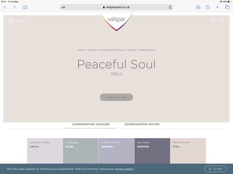 Oyster Shoal Valspar, Peaceful Soul, Wall Colour, Soul Sisters, Coordinating Colors, Wall Colors, Hush Hush, House Colors, Improve Yourself