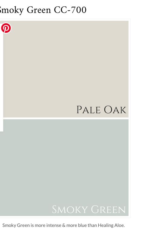 Pale Blue Green Paint Colors, Mint Hallway, Beach House Colors Interior Walls, Robins Egg Blue Living Room, Pale Green Walls, Paint Ideas Home, Mint Green Room, Green Room Design, Asian Paint Design