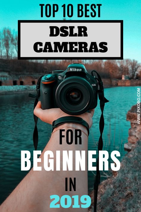 Cameras For Beginners, Dslr Quotes, Camera Png, Camera Vector, Best Camera For Photography, Dslr Photography Tips, Best Dslr, Camera Vintage, Camera Photos