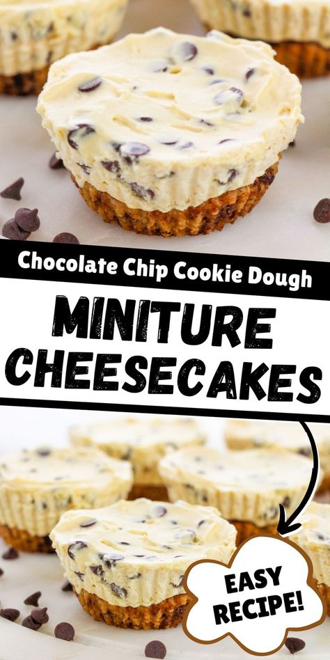 Miniture chocolate chip cookie dough cheesecakes made with a chocoalte chip cookie crust and a delicious no-bake cheesecake filling. Things To Make With Chocolate Chip Cookie Dough, Cookie Bottom Dessert, Cookie Dough Mini Cheesecake, Recipes With Store Bought Cookie Dough, Cheesecake With Cookie Dough Crust, Mini Cookie Dough Cheesecake, No Bake Cookie Cheesecake, Cookie Dough No Bake Cheesecake, Mini Chocolate Chip Cheesecakes