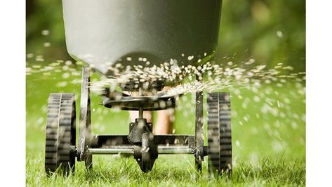 Trending -  Just in case - Share Today Overseeding Lawn, Jonathan Green, Seeding Lawn, Lawn Fertilizer, Lawn Care Tips, Healthy Lawn, Grass Seed, Green Lawn, Landscaping Tips