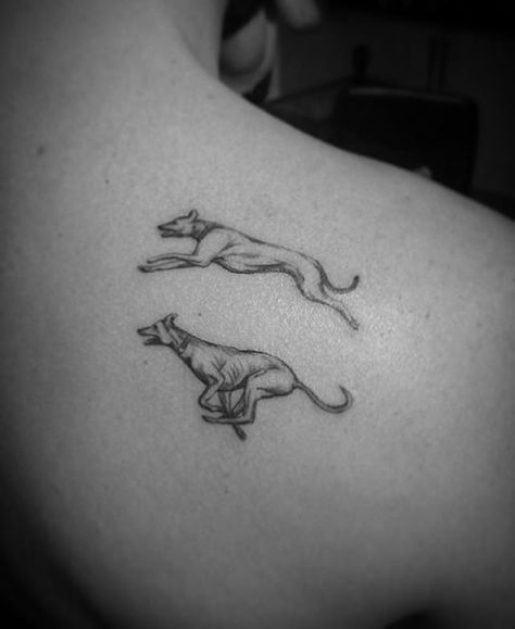 Whippet Dog Tattoo, Whippet Tattoo Ideas, Greyhound Tattoo Ideas, Whippet Tattoo, Shrimp Drawing, Greyhound Tattoo, Awful Tattoos, Running Tattoo, Koi Tattoo Design