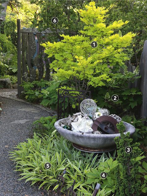 Island Garden Bed Shapes, Alice Oakleaf Hydrangea, Weeping Blue Atlas Cedar, Pnw Gardening, Plant Bed, Picea Abies, Hydrangea Quercifolia, Japanese Forest, Planting Design