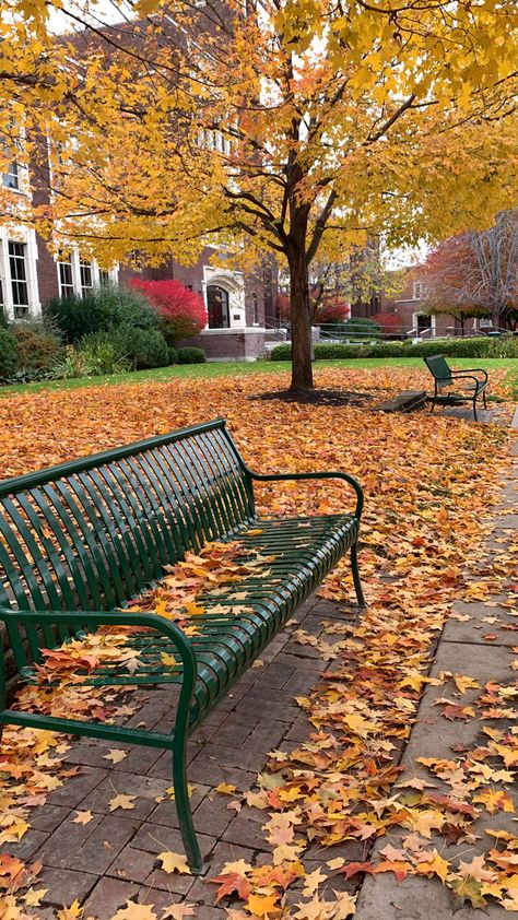 Boise State University Aesthetic, Boise Aesthetic, College Things, Boise State University, Go Broncos, Romanticizing School, Bleed Blue, Boise State, Boise Idaho