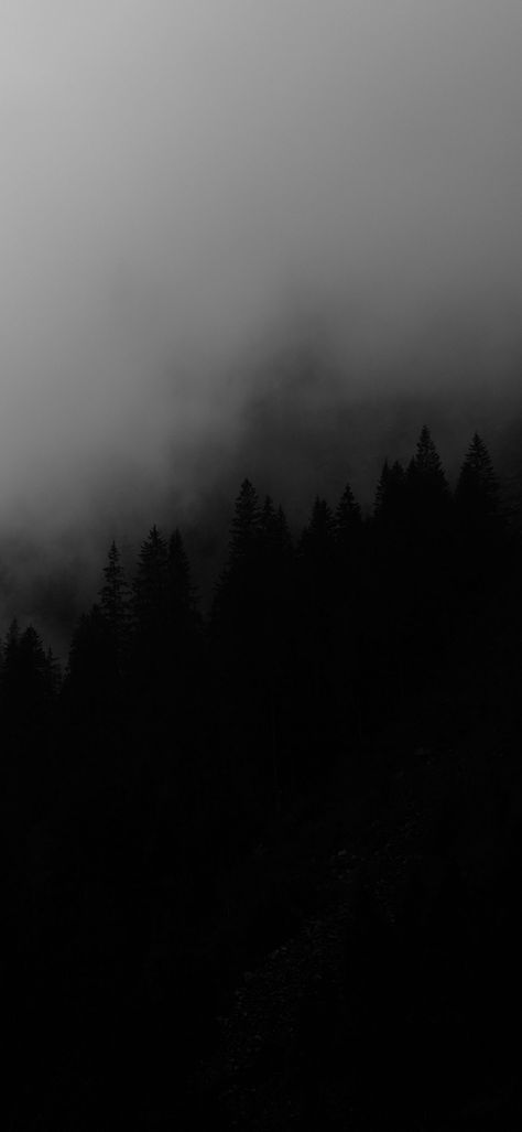 Dark Trees Wallpaper, Super Black Wallpaper, Darkest Black Wallpaper, Disturbing Wallpaper, Dark Homescreen Wallpaper, Black Things, Dark Black Wallpaper, Dark Tree, 8k Wallpaper