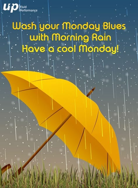 Raining Day Quotes, Rainy Morning Quotes, Rainy Day Images, Good Morning Rain, Rainy Good Morning, Good Morning Rainy Day, Rainy Day Quotes, Monday Wishes, Rainy Monday