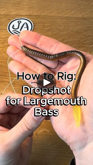 101K views · 7.5K reactions | What are your favorite drop shot tips and tricks?  #fishing #howto #fishingtips #largemouth #largemouthbass #bassfishing #largemouthbassfishing #smallmouthbass #diy #fishingbaits | Juran Adventures | juranadventures · Original audio Drop Shot Fishing, Largemouth Bass Fishing, Smallmouth Bass, Drop Shot, Fishing Knots, Largemouth Bass, Camping Glamping, Fishing Bait, June 1