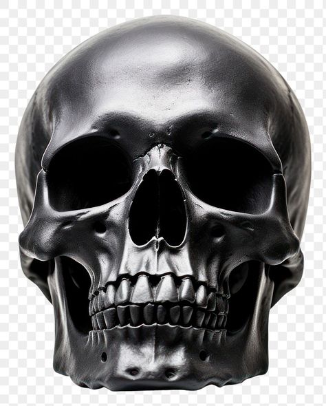 Skull Transparent, Sculpture Portrait, Skull Sculpture, Skull Png, Black Skull, Skull Head, Portrait Sculpture, Black Skulls, Black Backgrounds