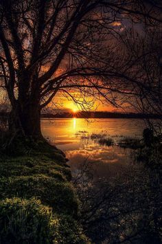 Late Night Randomness (25 Photos) (11) Image Nature, Beautiful Sunrise, Alam Yang Indah, Nature Scenes, Beautiful Sunset, Beautiful Photography, Amazing Nature, Nature Pictures, Nature Photos